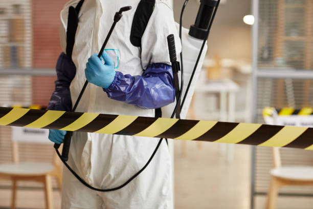 Professional Biohazard Cleanup technician working in Kurtistown, HI
